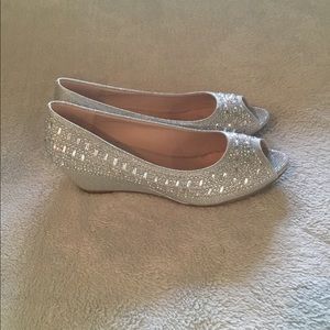 Silver Shoes